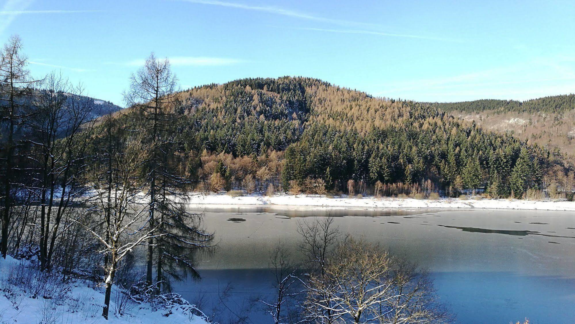 Hotel Berghof Am See Lautenthal Exterior photo